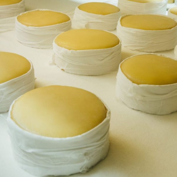 Cel mai mare festival al brânzei din Portugalia